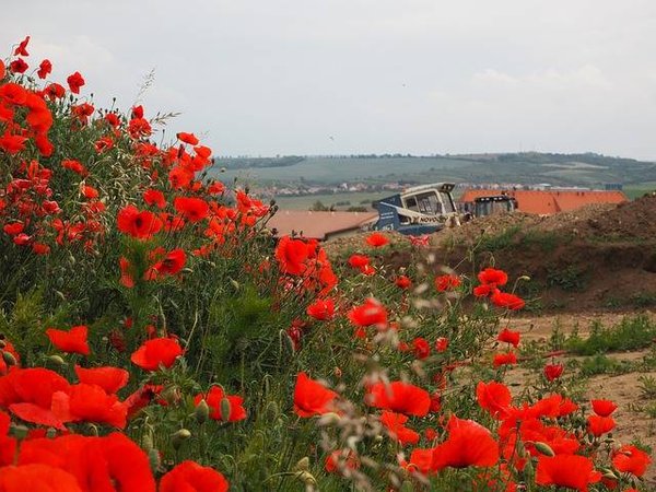 Quels sont les prix des terrains à vendre en Occitanie