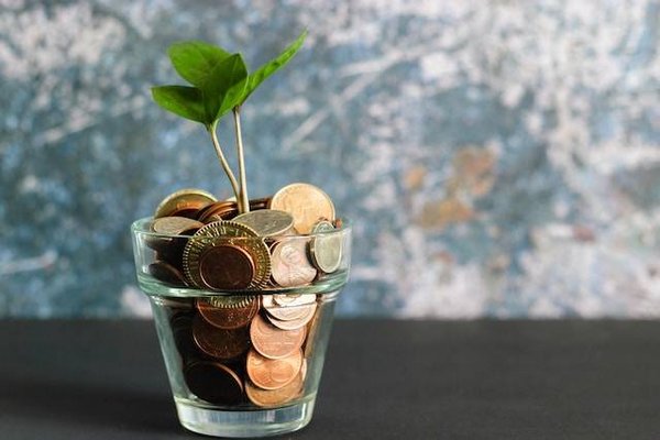 Quels sont les critères à prendre en compte pour réaliser un bon investissement immobilier en achetant une maison au Bouscat ?